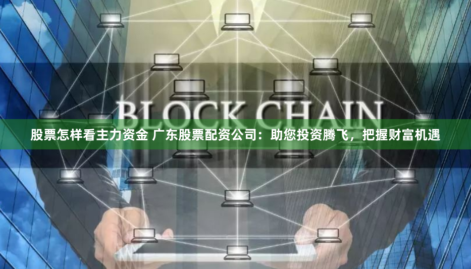股票怎样看主力资金 广东股票配资公司：助您投资腾飞，把握财富机遇