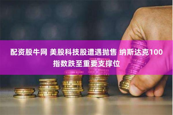 配资股牛网 美股科技股遭遇抛售 纳斯达克100指数跌至重要支撑位