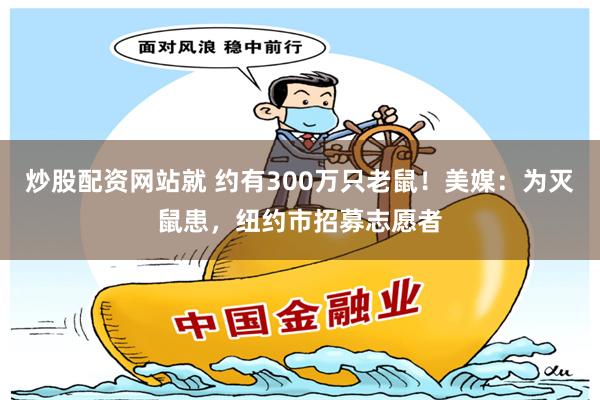炒股配资网站就 约有300万只老鼠！美媒：为灭鼠患，纽约市招募志愿者