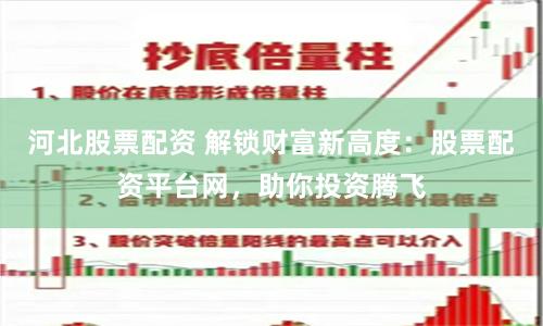 河北股票配资 解锁财富新高度：股票配资平台网，助你投资腾飞