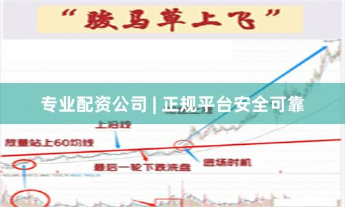专业配资公司 | 正规平台安全可靠