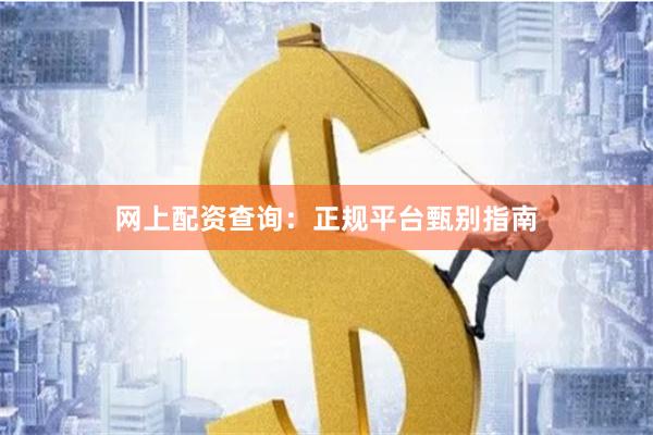 网上配资查询：正规平台甄别指南